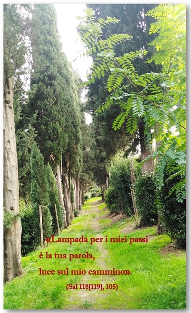 Salmo 118